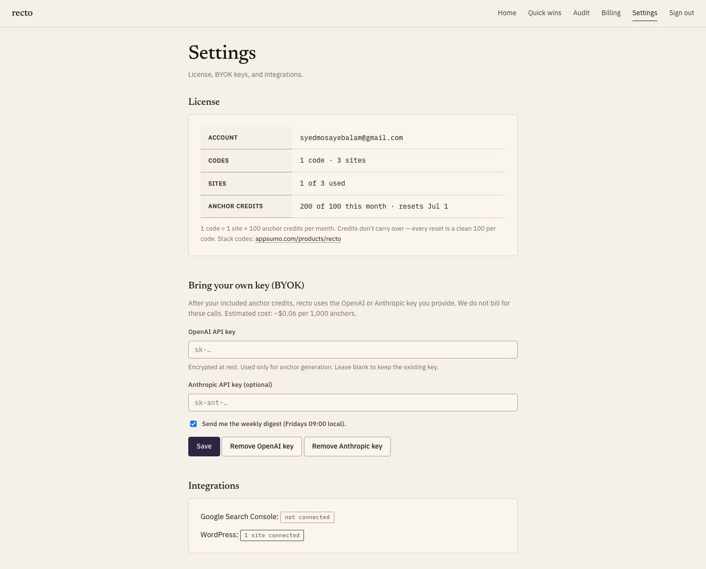 The settings screen showing the bring-your-own-key fields for an OpenAI or Anthropic API key.